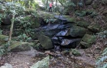 Perine on top of a small waterfall