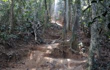 The trail is beautiful and has a lot of shade