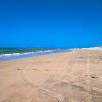 So many kite-surfers!
