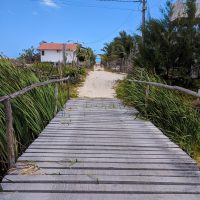 The only access road, from the beach!