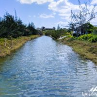 Crossing a small lagoon!