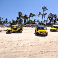 Buggys, the best way to visit the beach area