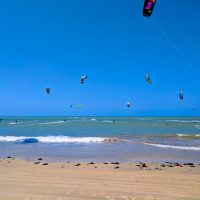 So many kite-surfers!