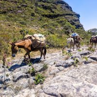 Bringing food and goods to the natives living in the valley