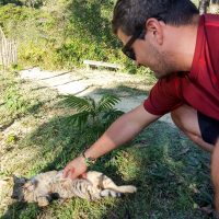 This cat was loudly claiming for us to take care of him, and he knew exactly what he wanted!