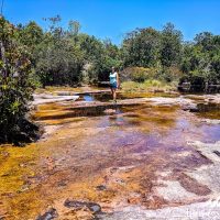 The red water of the black river