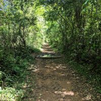 Beautiful nature trail