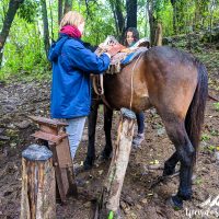 Getting the horses ready!