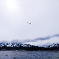Ushuaia -93