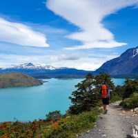 Puerto Natales -45