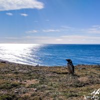 Punta Arenas -32