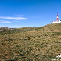 Punta Arenas -35