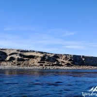 The Sea Lion island